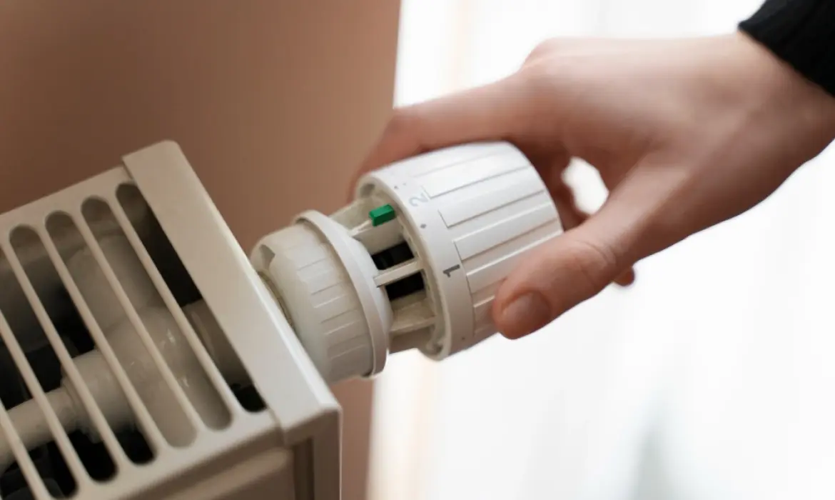 Petek Temizleme Hizmeti